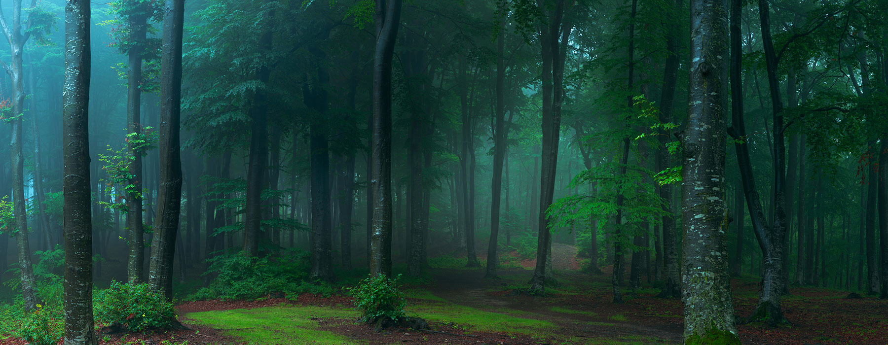 ProDecon Chemical Cleaning, Sustainability